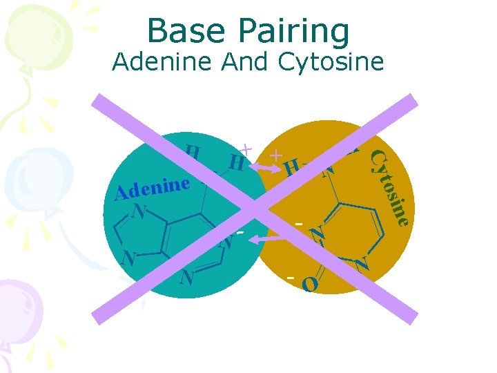 Base Pairing Adenine And Cytosine e osin Cyt H H H+ + H N