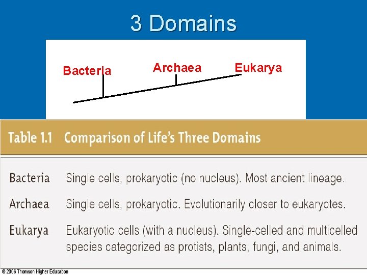 3 Domains Bacteria Archaea Eukarya Fig. 1 -7, p. 8 