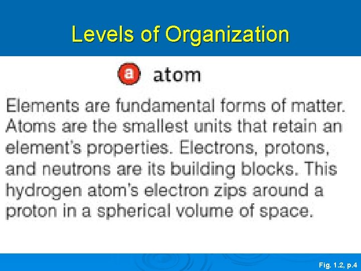 Levels of Organization Fig. 1. 2, p. 4 