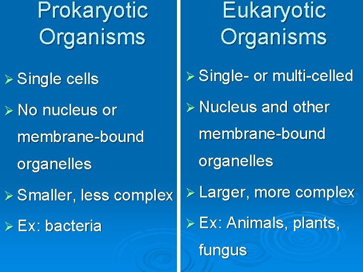 Prokaryotic Organisms Eukaryotic Organisms Ø Single cells Ø Single- or multi-celled Ø No nucleus