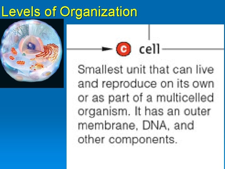 Levels of Organization Fig. 1. 2, p. 4 