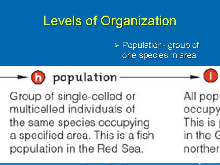 Levels of Organization Ø Population- group of one species in area Fig. 1. 2,