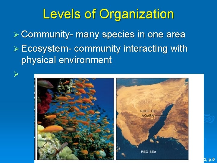 Levels of Organization Ø Community- many species in one area Ø Ecosystem- community interacting