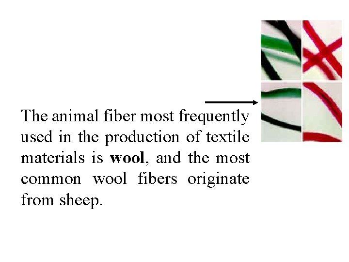 The animal fiber most frequently used in the production of textile materials is wool,