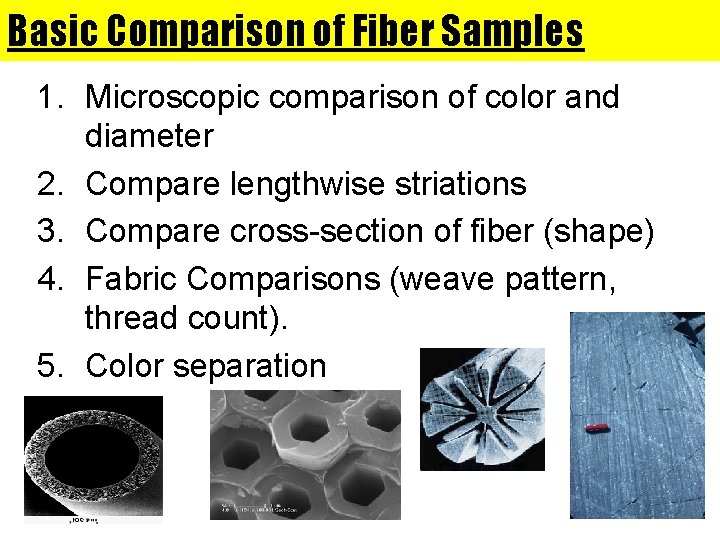 Basic Comparison of Fiber Samples 1. Microscopic comparison of color and diameter 2. Compare