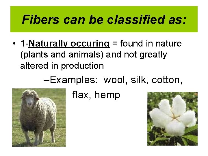 Fibers can be classified as: • 1 -Naturally occuring = found in nature (plants
