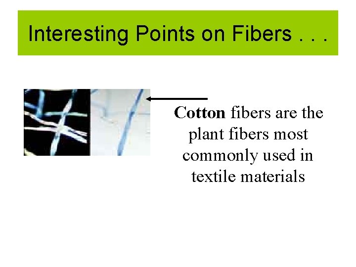 Interesting Points on Fibers. . . Cotton fibers are the plant fibers most commonly