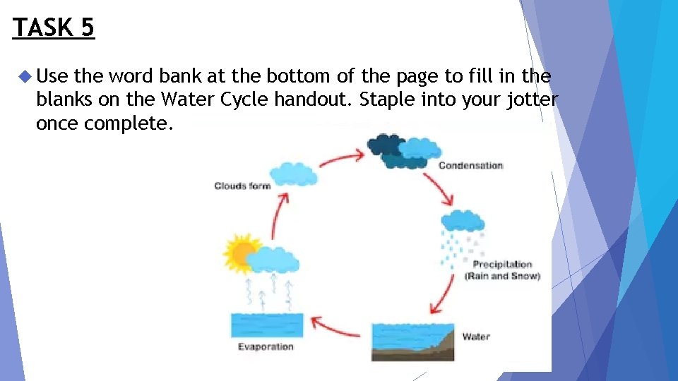 TASK 5 Use the word bank at the bottom of the page to fill