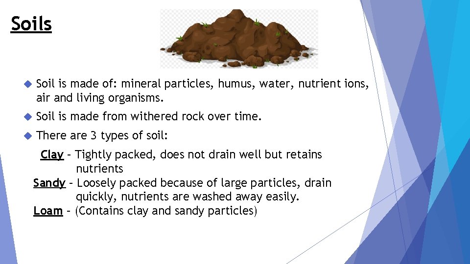 Soils Soil is made of: mineral particles, humus, water, nutrient ions, air and living