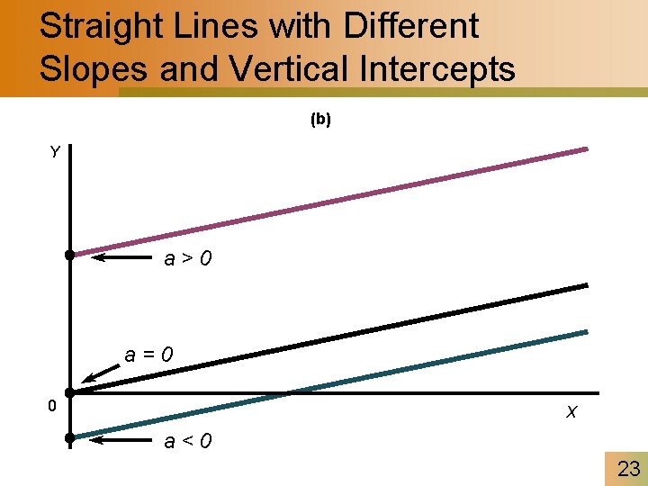 Straight Lines with Different Slopes and Vertical Intercepts (b) Y a>0 a=0 0 X