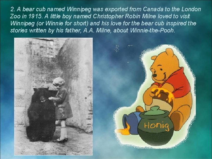 2. A bear cub named Winnipeg was exported from Canada to the London Zoo
