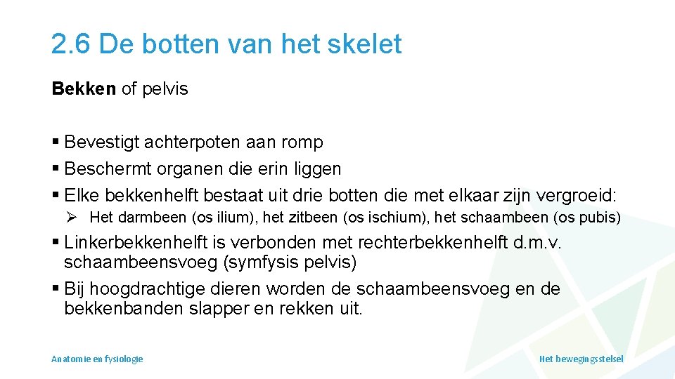 2. 6 De botten van het skelet Bekken of pelvis § Bevestigt achterpoten aan