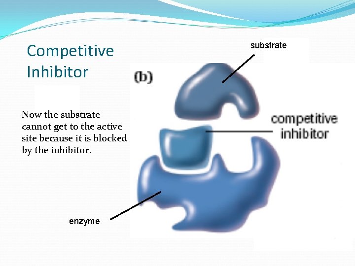 Competitive Inhibitor Now the substrate cannot get to the active site because it is