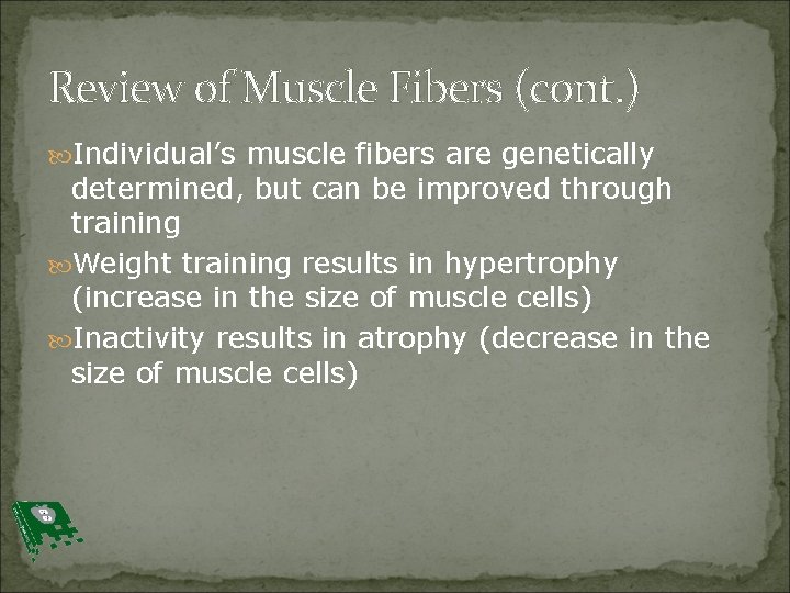 Review of Muscle Fibers (cont. ) Individual’s muscle fibers are genetically determined, but can