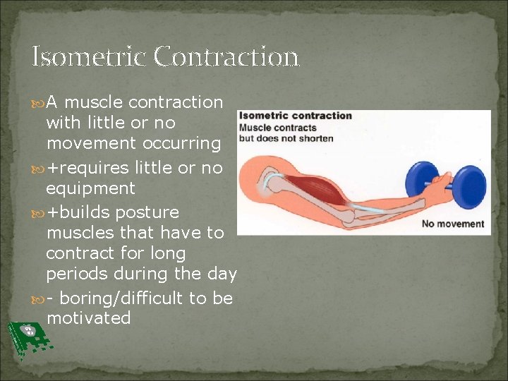 Isometric Contraction A muscle contraction with little or no movement occurring +requires little or