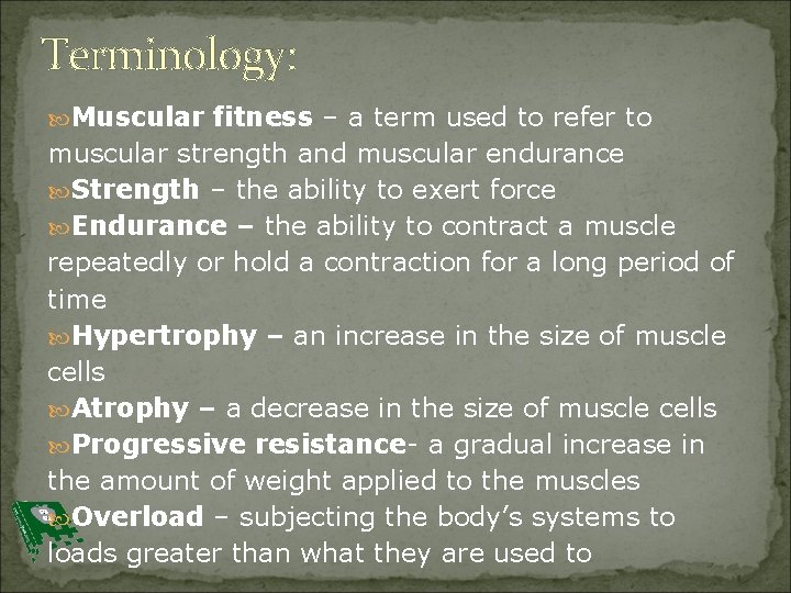 Terminology: Muscular fitness – a term used to refer to muscular strength and muscular