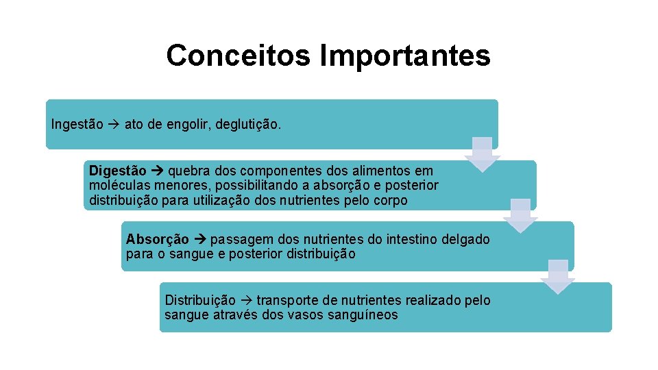 Conceitos Importantes Ingestão ato de engolir, deglutição. Digestão quebra dos componentes dos alimentos em