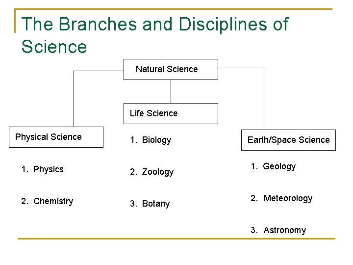 The Branches and Disciplines of Science Natural Science Life Science Physical Science 1. Biology The Branches and Disciplines of Science Natural Science Life Science Physical Science 1. Biology