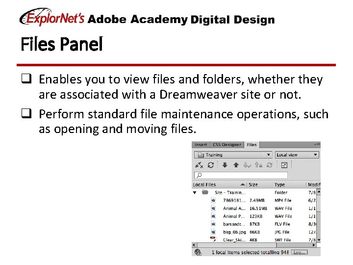 Files Panel q Enables you to view files and folders, whether they are associated