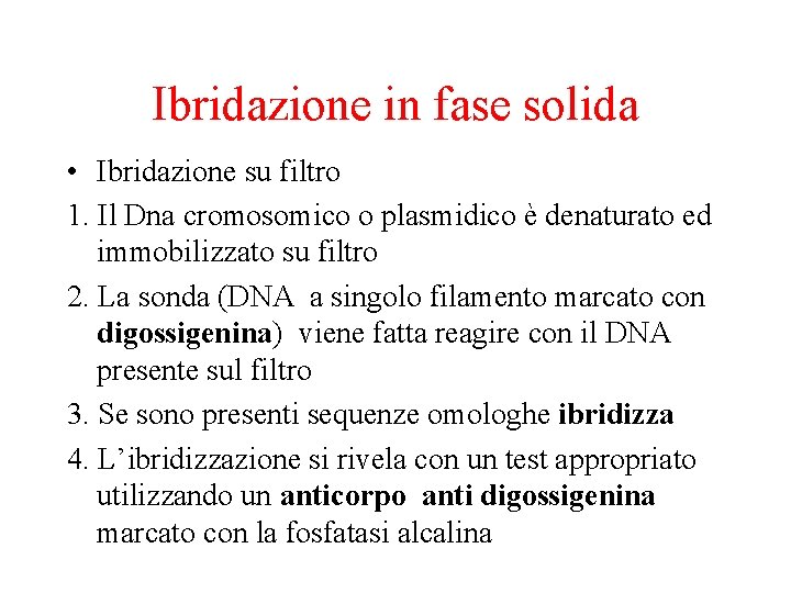 Ibridazione in fase solida • Ibridazione su filtro 1. Il Dna cromosomico o plasmidico
