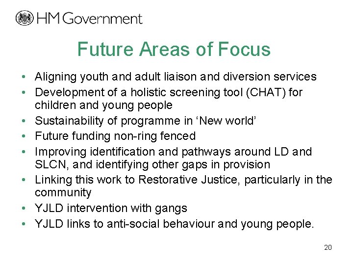 Future Areas of Focus • Aligning youth and adult liaison and diversion services •
