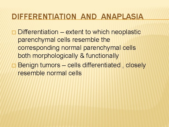 DIFFERENTIATION AND ANAPLASIA Differentiation – extent to which neoplastic parenchymal cells resemble the corresponding