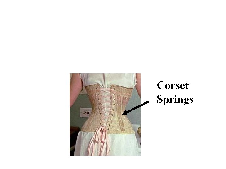 Corset Springs 