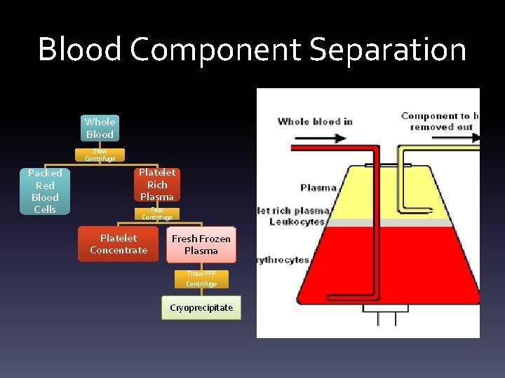 Blood Component Separation Apheresis for platelets or plasma. Whole Blood Slow Centrifuge Packed Red