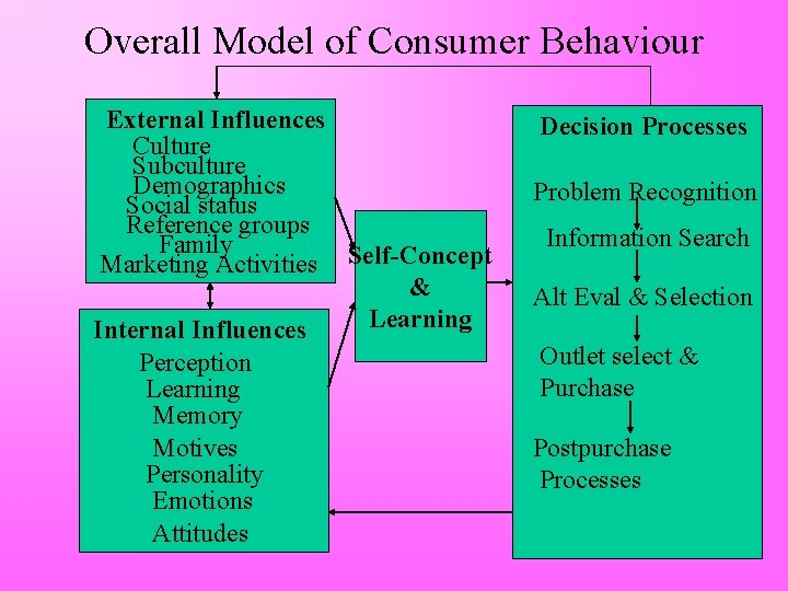 Overall Model of Consumer Behaviour External Influences Culture Subculture Demographics Social status Reference groups
