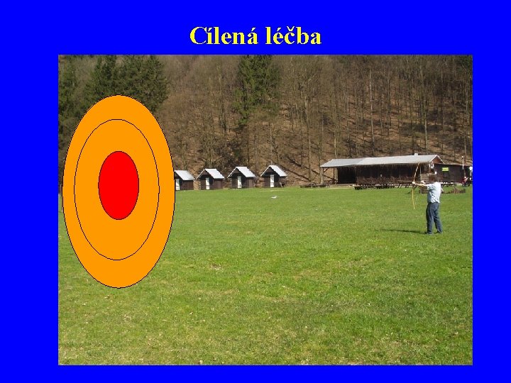 Cílená léčba 