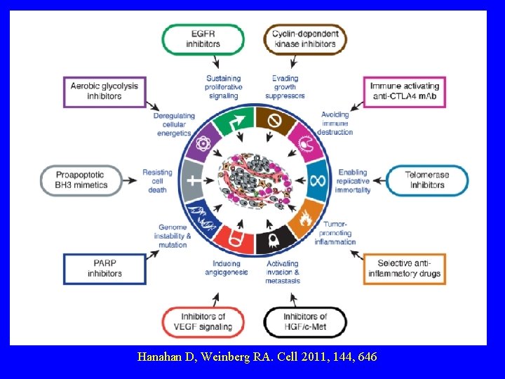 Hanahan D, Weinberg RA. Cell 2011, 144, 646 