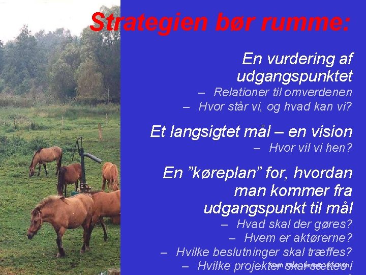 Strategien bør rumme: En vurdering af udgangspunktet – Relationer til omverdenen – Hvor står