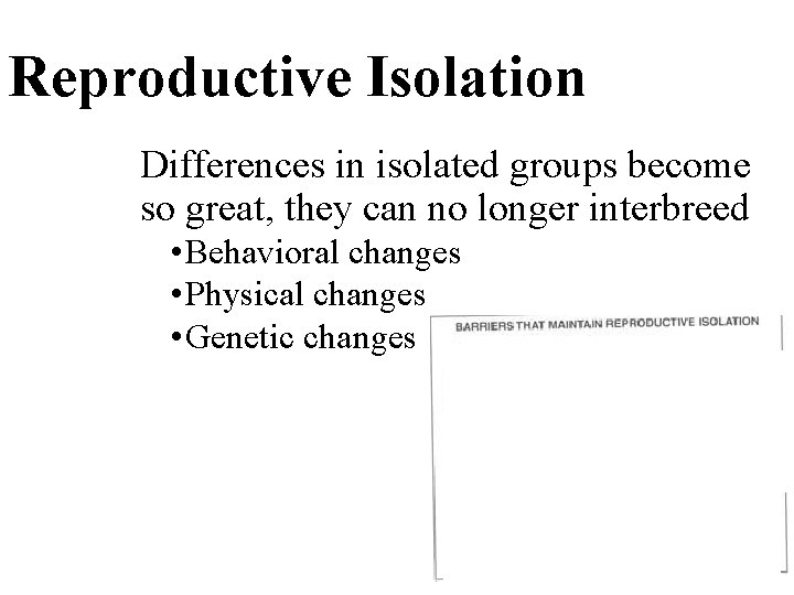 Reproductive Isolation Differences in isolated groups become so great, they can no longer interbreed