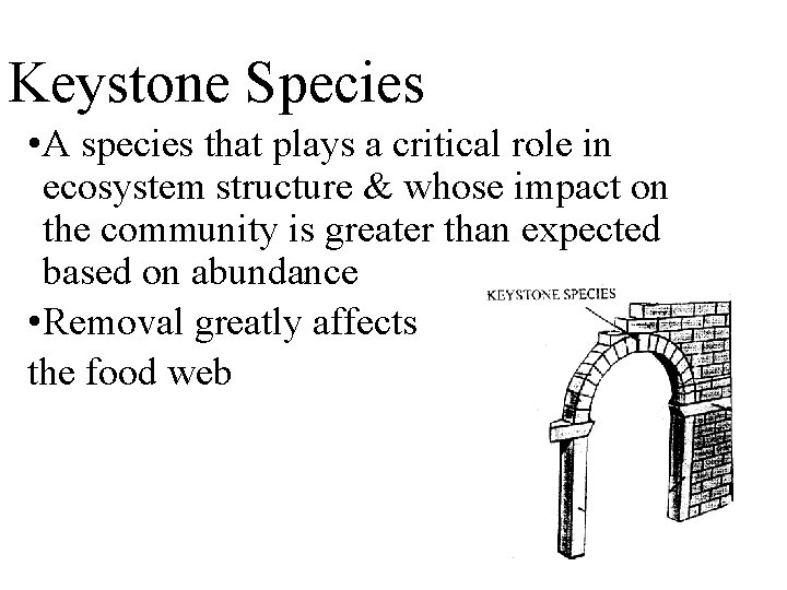 Keystone Species • A species that plays a critical role in ecosystem structure &