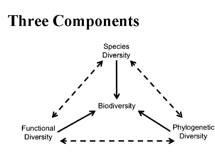 Three Components 