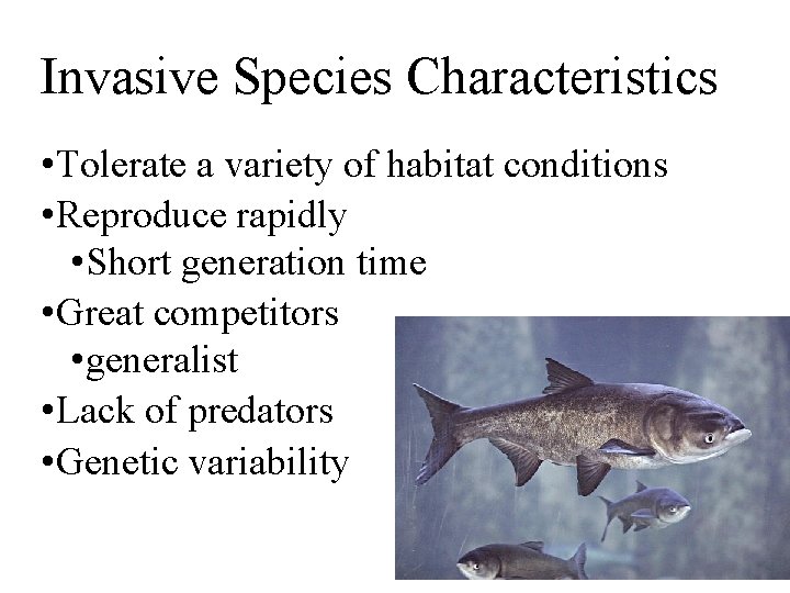 Invasive Species Characteristics • Tolerate a variety of habitat conditions • Reproduce rapidly •