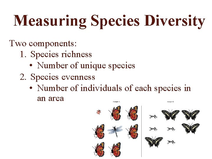 Measuring Species Diversity Two components: 1. Species richness • Number of unique species 2.