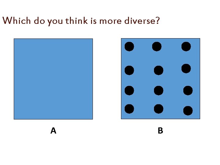 Which do you think is more diverse? A B 