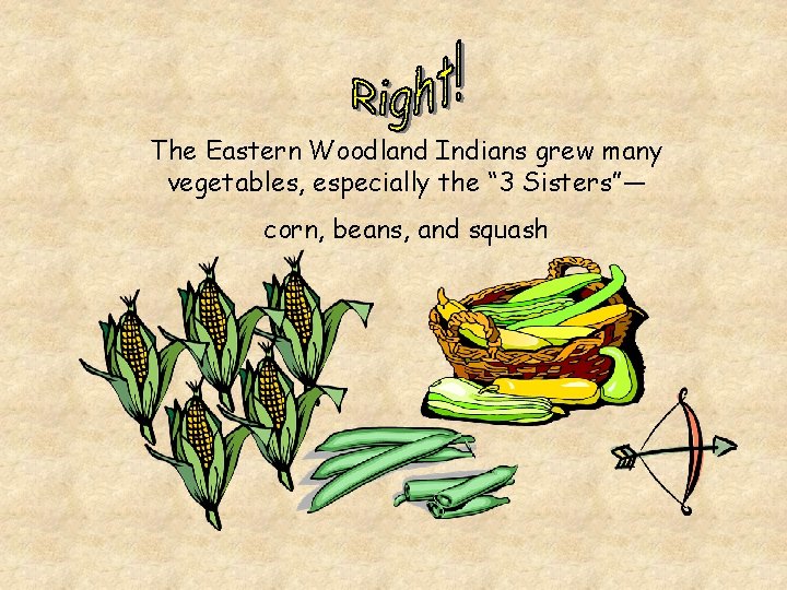 The Eastern Woodland Indians grew many vegetables, especially the “ 3 Sisters”— corn, beans,