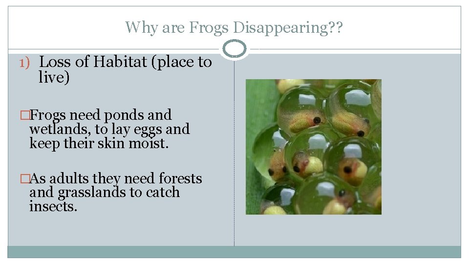 Why are Frogs Disappearing? ? 1) Loss of Habitat (place to live) �Frogs need