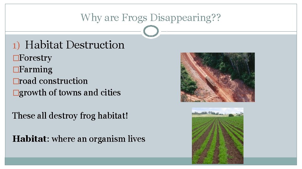 Why are Frogs Disappearing? ? 1) Habitat Destruction �Forestry �Farming �road construction �growth of
