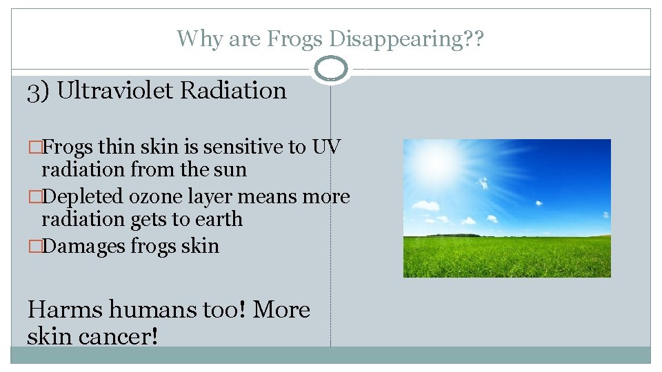 Why are Frogs Disappearing? ? 3) Ultraviolet Radiation �Frogs thin skin is sensitive to
