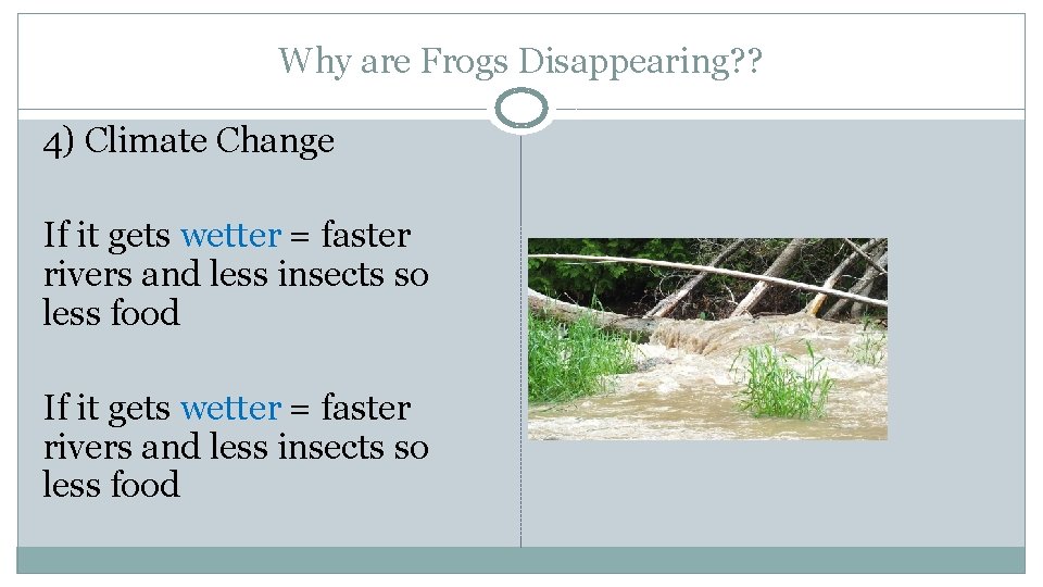 Why are Frogs Disappearing? ? 4) Climate Change If it gets wetter = faster