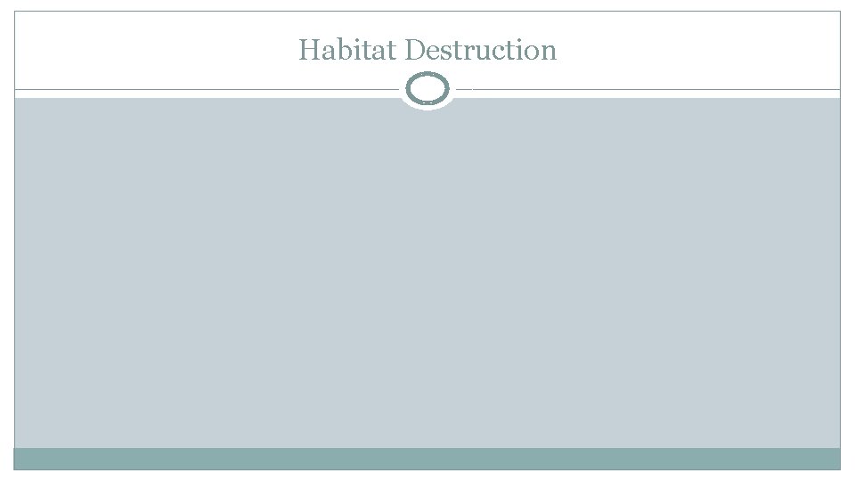 Habitat Destruction 