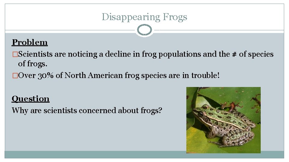 Disappearing Frogs Problem �Scientists are noticing a decline in frog populations and the #