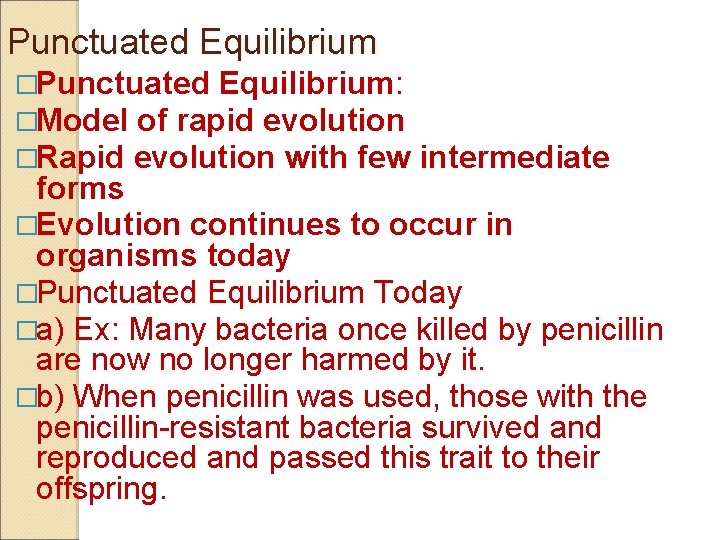 Punctuated Equilibrium �Punctuated Equilibrium: �Model of rapid evolution �Rapid evolution with few intermediate forms