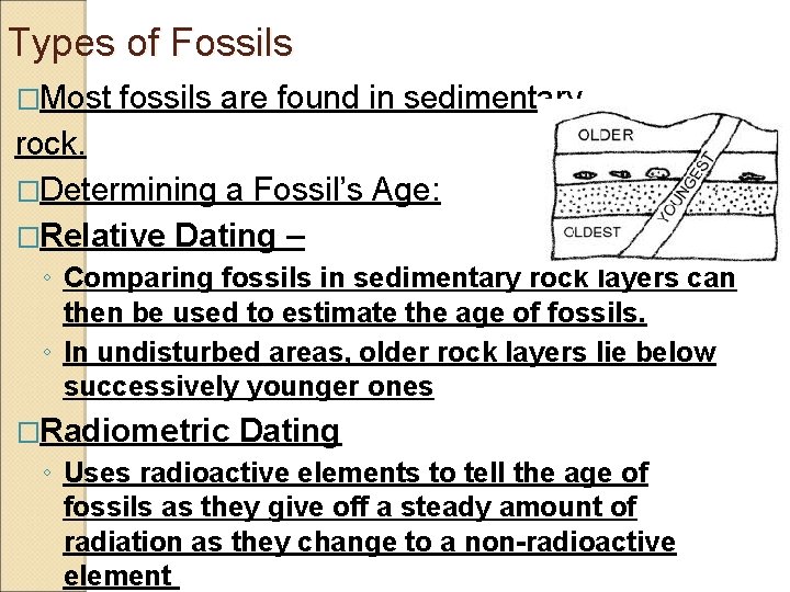 Types of Fossils �Most fossils are found in sedimentary rock. �Determining a Fossil’s Age: