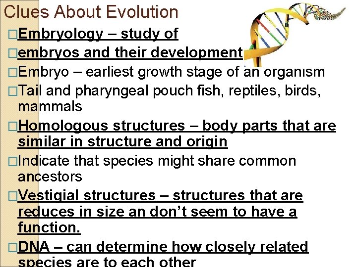 Clues About Evolution �Embryology – study of �embryos and their development �Embryo – earliest