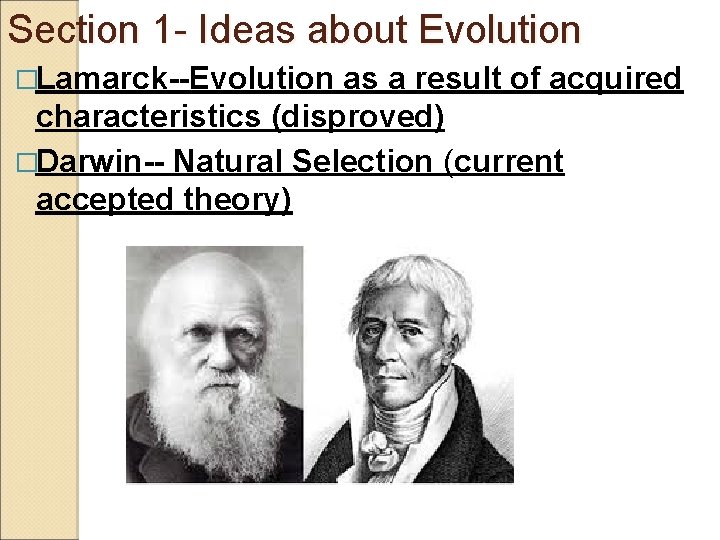 Section 1 - Ideas about Evolution �Lamarck--Evolution as a result of acquired characteristics (disproved)