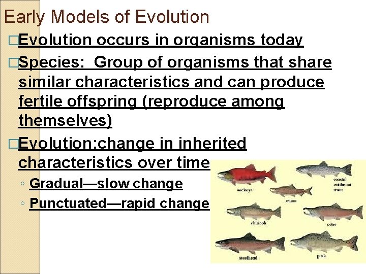 Early Models of Evolution �Evolution occurs in organisms today �Species: Group of organisms that